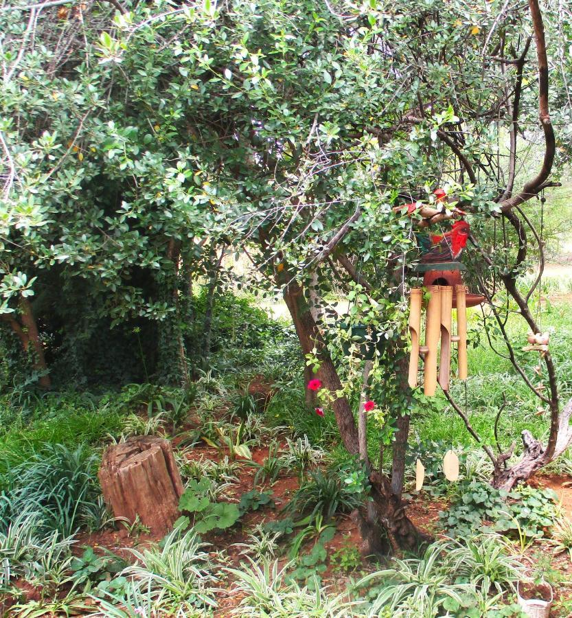 Appartement Lekker Rus à Bloemfontein Extérieur photo